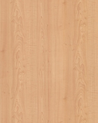 Sample pic of Fusion Maple