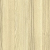 Acacia
